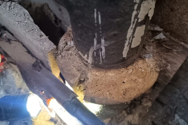 Gamall pottjárnsstammi orðinn mjög illa farinn